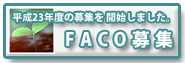 FACO����